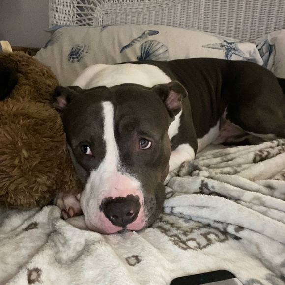 Meet your Posher, L - Picture 1 of 1